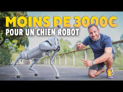 UNITREE - Go 2 Air, robot quadrupède